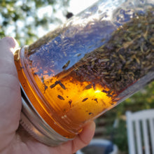 Load image into Gallery viewer, Lavender Infused Honey - Stress Reducing - Calming & Relaxing