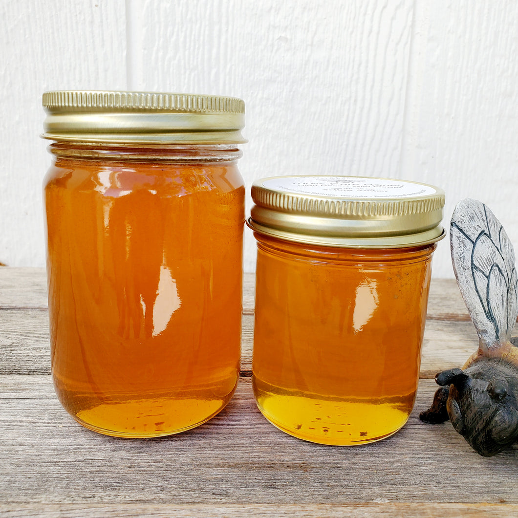 MEDIUM AMBER - 100% Pure Natural Honey - Local Desert Wild Flower (including Rabbit Brush)