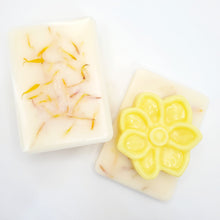 Load image into Gallery viewer, Dandelion &amp; Fresh Cut Grass - Safe &amp; Natural Wax Melts with Dried Calendula Flower Petals

