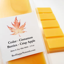 Load image into Gallery viewer, Festive Winter Wax Melts
