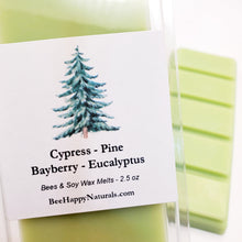 Load image into Gallery viewer, Festive Winter Wax Melts

