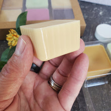 Load image into Gallery viewer, Wax Melts Sampler Set
